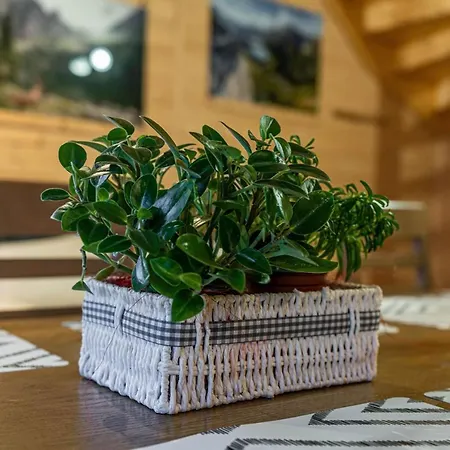 Дом отдыха Widokowe Gawlaki Закопане